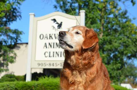 Oakville Animal Clinic